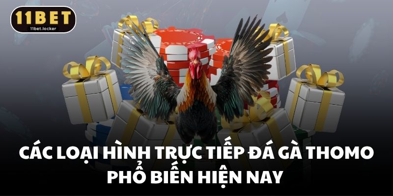 Các loại hình trực tiếp đá gà thomo phổ biến hiện nay
