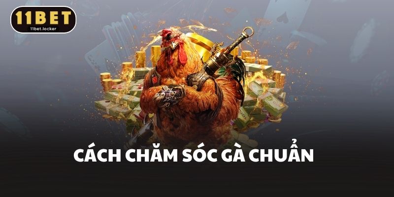 Cách chăm sóc gà chuẩn