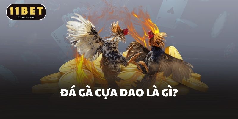 Đá gà cựa dao là gì?