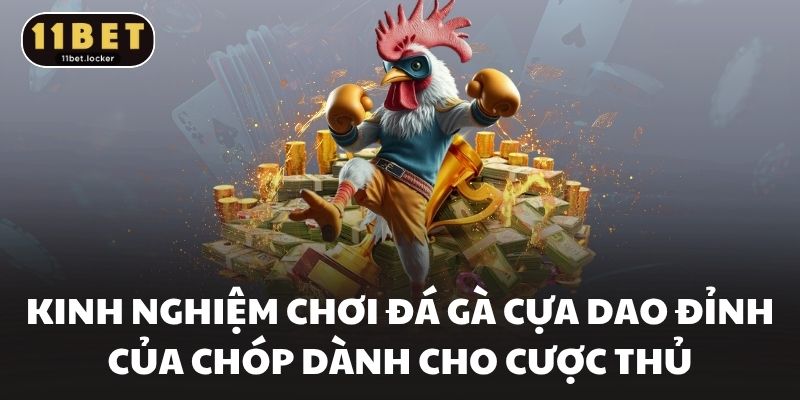 Kinh nghiệm chơi đá gà cựa dao đỉnh của chóp dành cho cược thủ