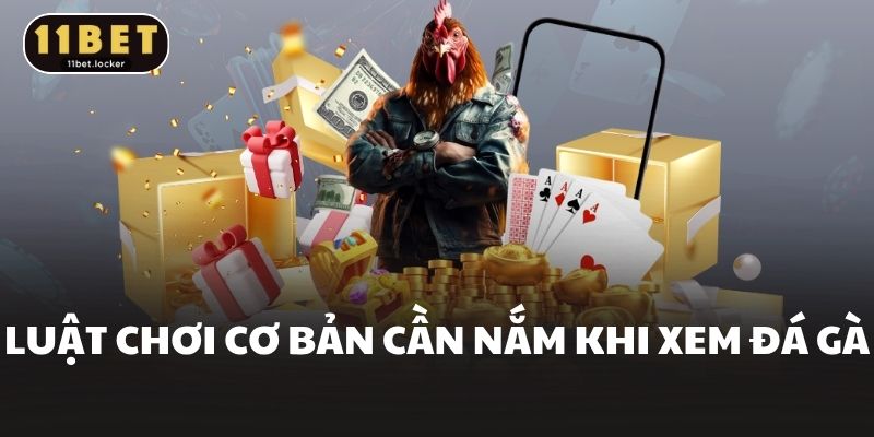 Luật chơi cơ bản cần nắm khi xem đá gà