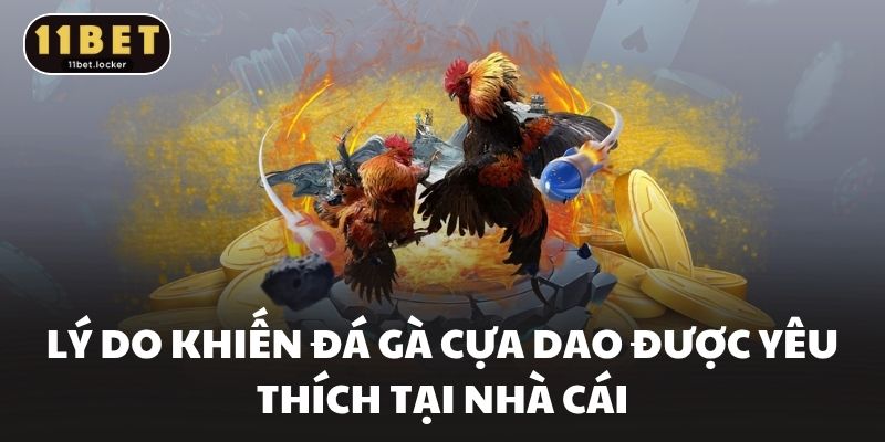 Lý do khiến đá gà cựa dao được yêu thích tại nhà cái