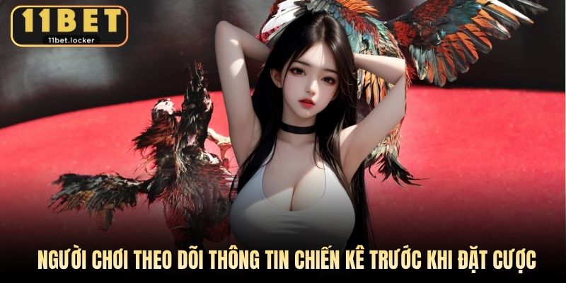 Người chơi theo dõi thông tin chiến kê trước khi đặt cược